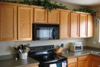 Artificial Plants For Top Of Kitchen Cabinets Kitchen Cabinet inside proportions 1024 X 768