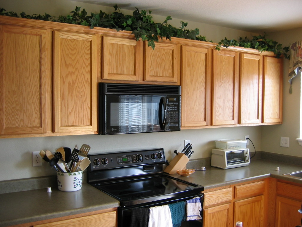 Artificial Plants For Top Of Kitchen Cabinets Kitchen Cabinet inside proportions 1024 X 768