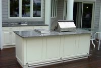 Stainless Steel Kitchen Doors Building Outdoor Cabinets Kitchens inside measurements 1024 X 768