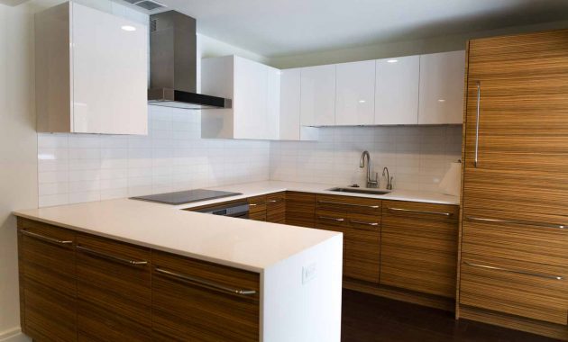 Zebrawood Kitchen Remodel In Rochester Ny Concept Ii for size 1368 X 912