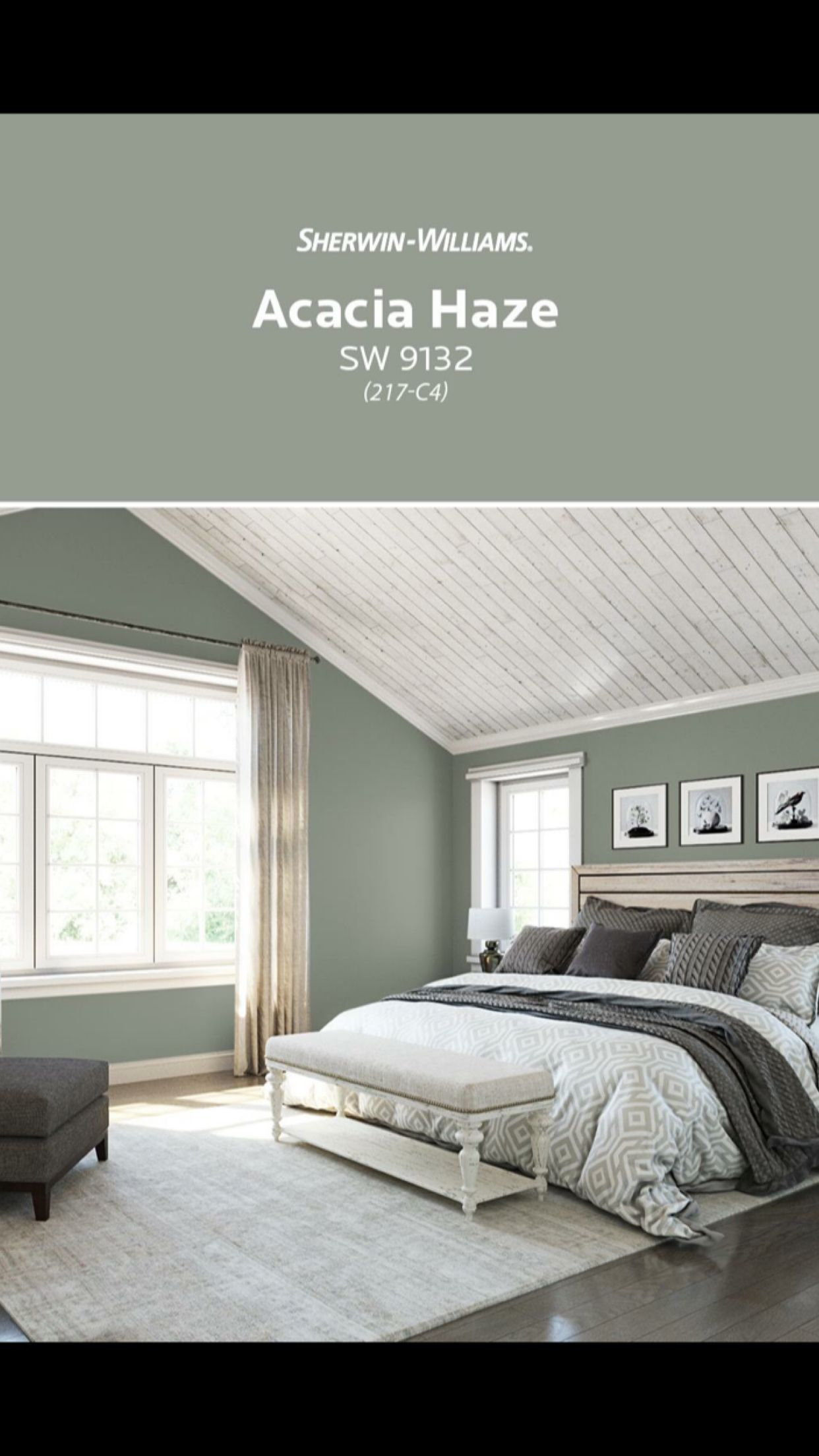 Acacia Haze Sherwin Williams For The Home In 2019 Bedroom Paint with regard to measurements 1242 X 2208