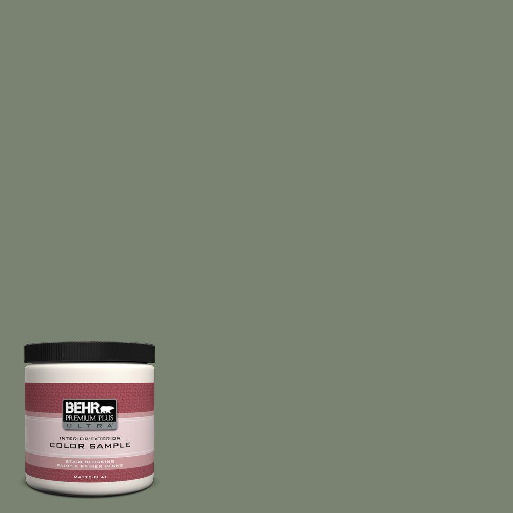 Behr Premium Plus Ultra 8 Oz Icc 77 Sage Green Matte Interior for measurements 1000 X 1000