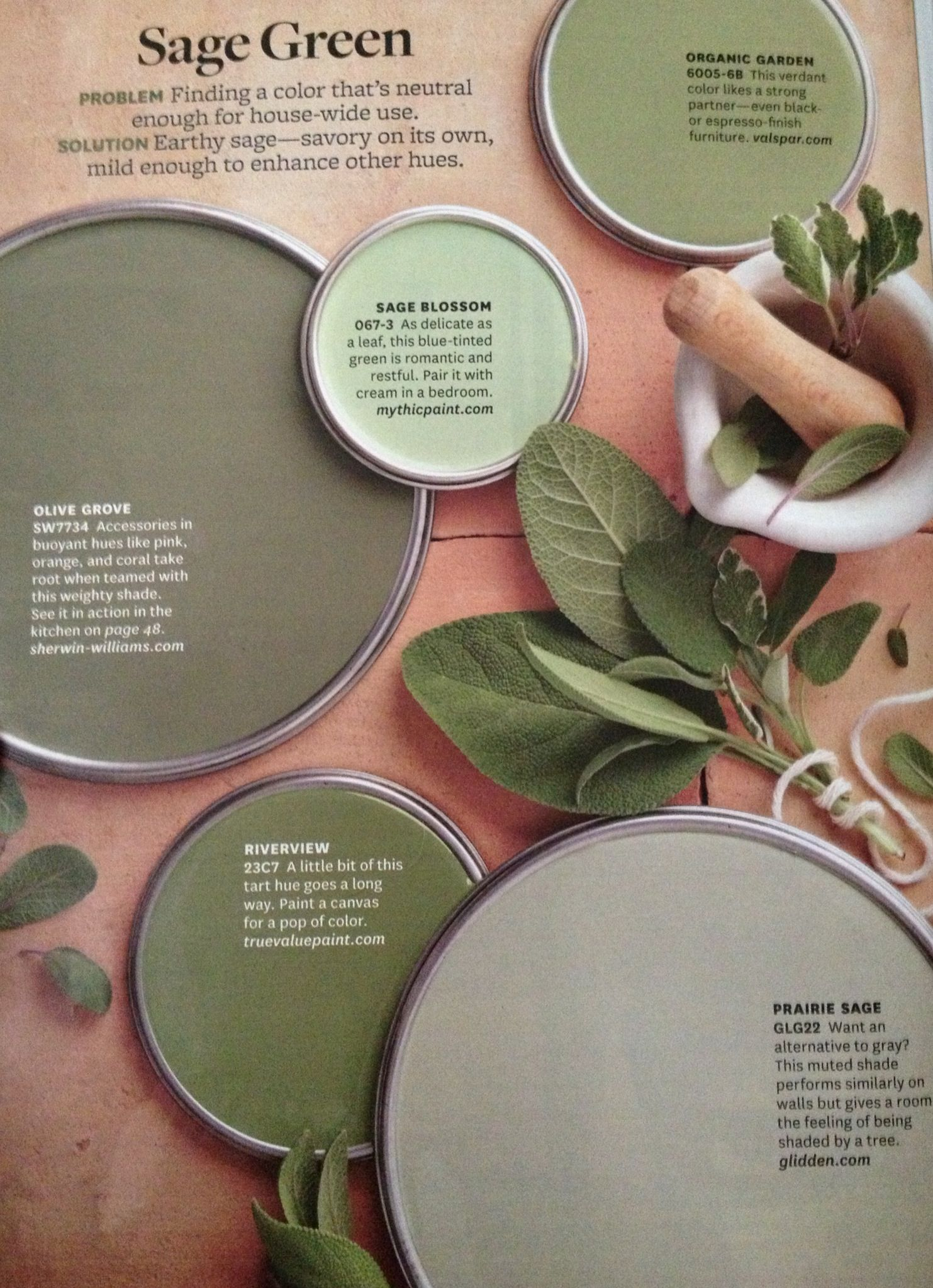 Better Homes And Garden Sage Green Paint Colors I Like Sage throughout dimensions 1483 X 2047