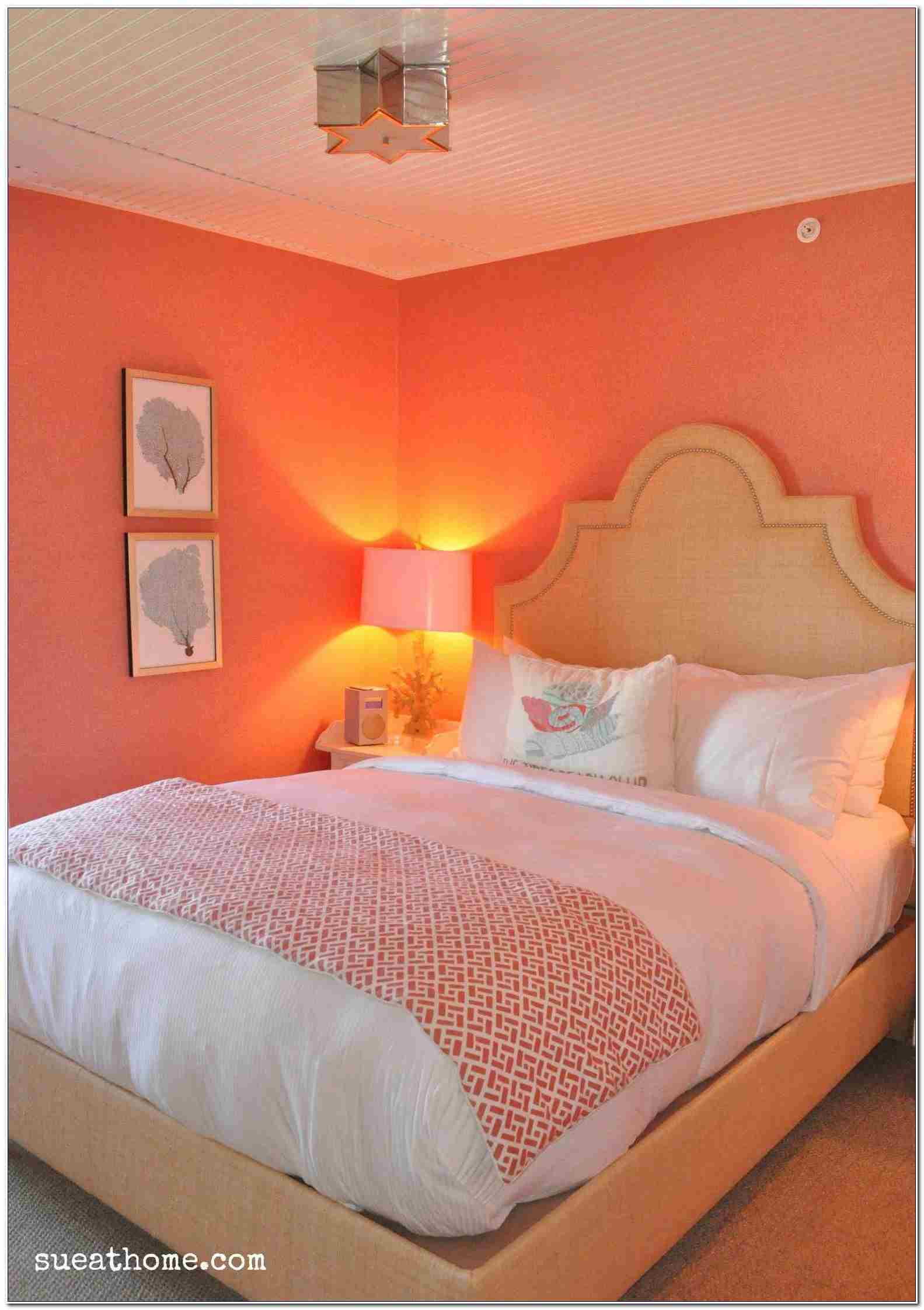 Coral Paint Color For Bedroom Bedroom Ideas throughout measurements 1583 X 2245