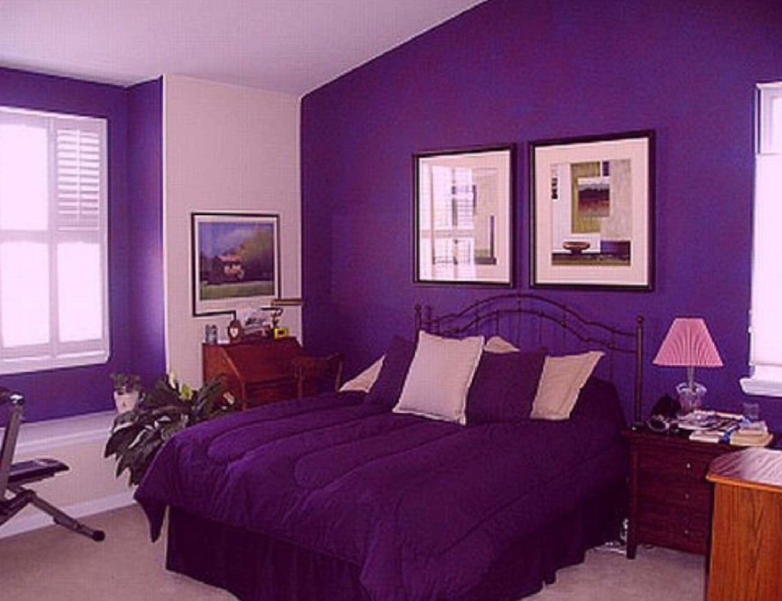 Living Room Color Ideas Purple And Blur Sofa