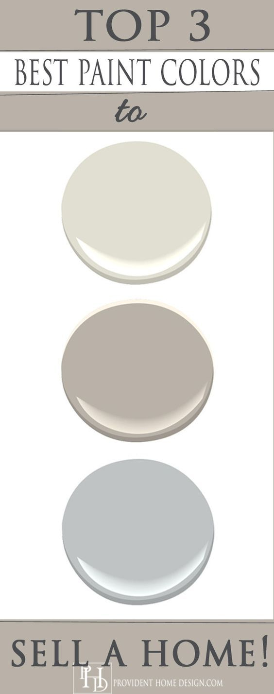 Professional Stager Shares Her Top 3 Go To Paint Colors For Selling in proportions 564 X 1428