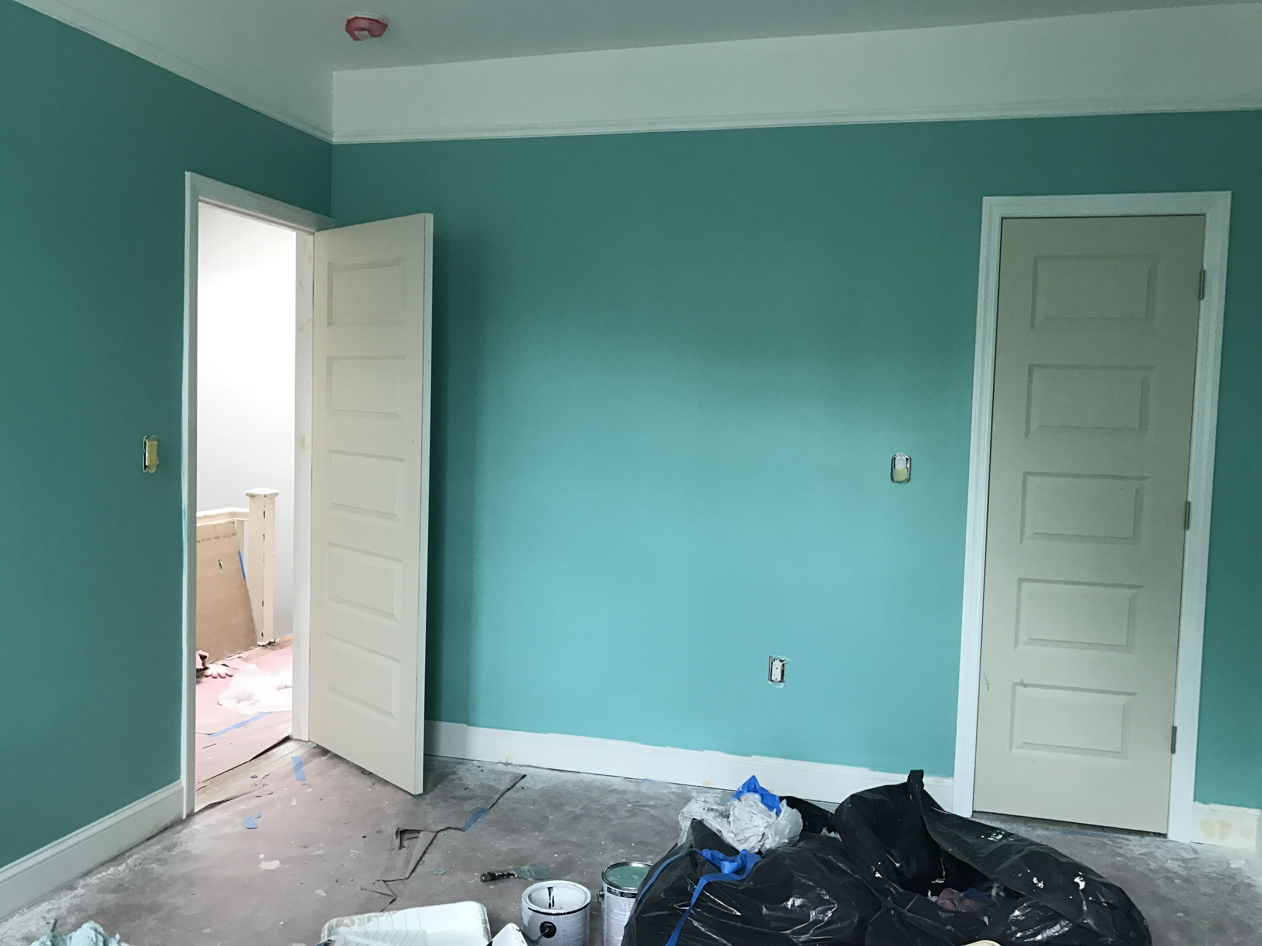 Sherwin Williams Little Blue Box Co Ed Bedroom Home Renovation In intended for dimensions 4032 X 3024