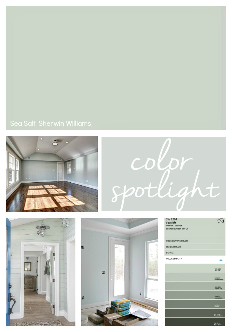 Sherwin Williams Sea Salt Color Spotlight pertaining to measurements 800 X 1143