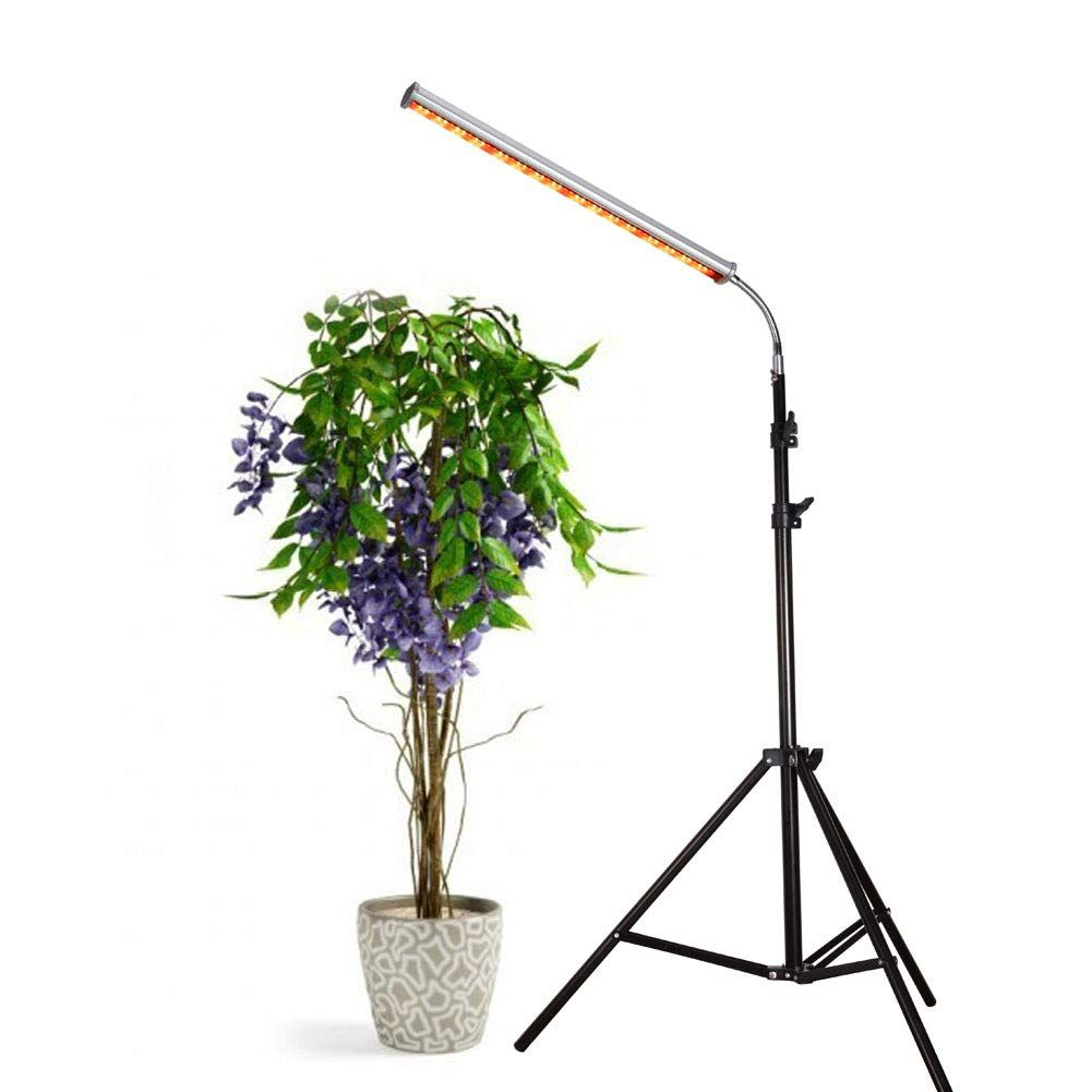 30w Floor Stand Grow Light Led Floor Lamp With Flexible throughout dimensions 1001 X 1001