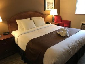 Americas Best Value Inn Lynnwood Lynnwood Updated 2019 Prices for size 1024 X 768