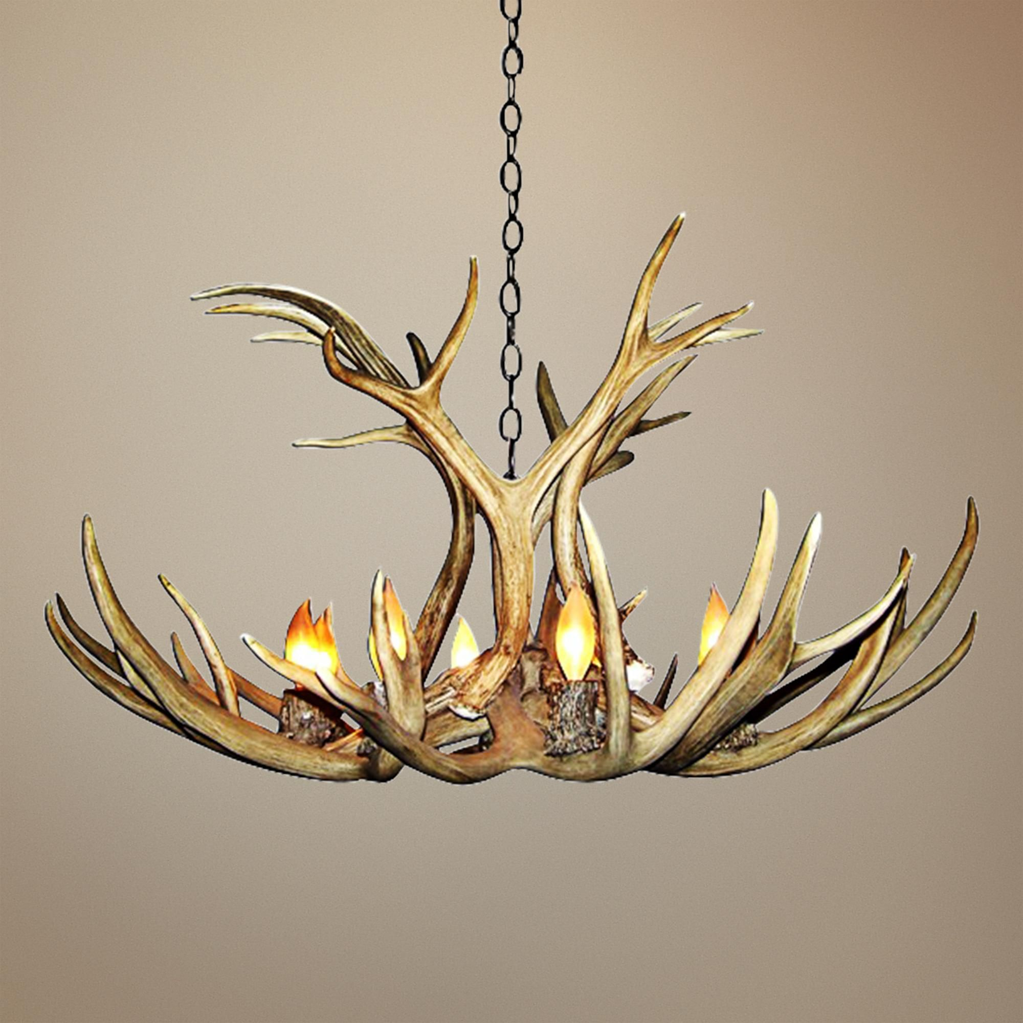 Antler 29 Wide Natural Shed Mule Deer 6 Light Chandelier in proportions 2000 X 2000