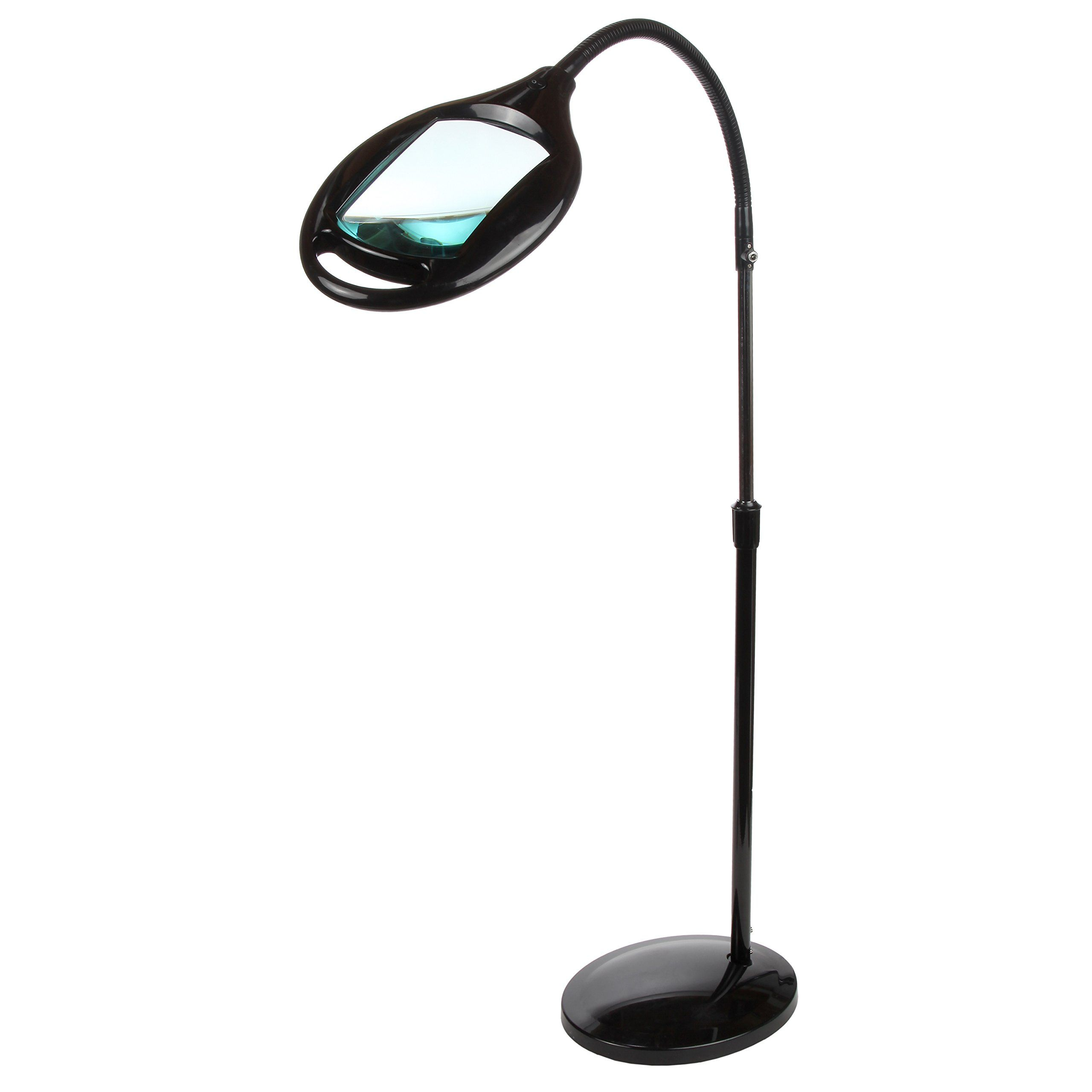 Brightech Lightview Pro Led Magnifying Glass Floor Lamp within dimensions 2560 X 2560