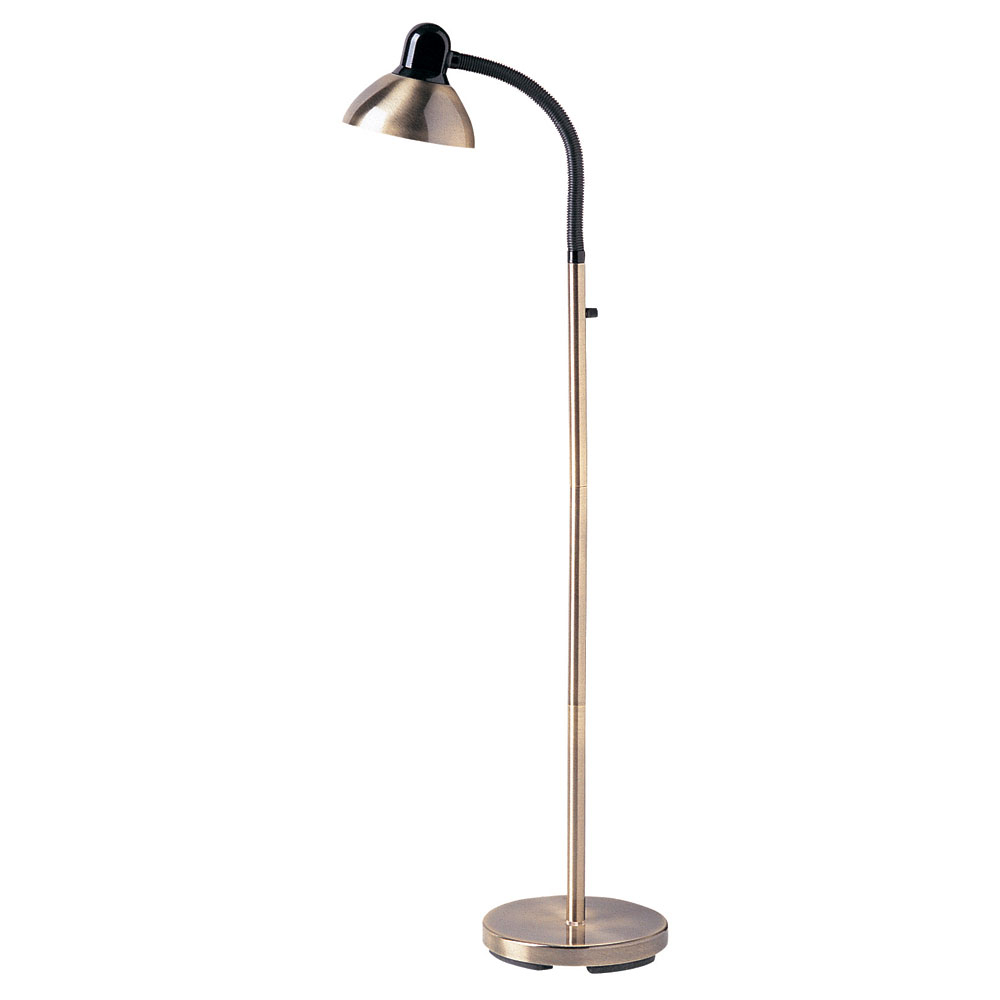 Dainolite Dm238 F Ab Antique Brass Adjustable Gooseneck with dimensions 1000 X 1000