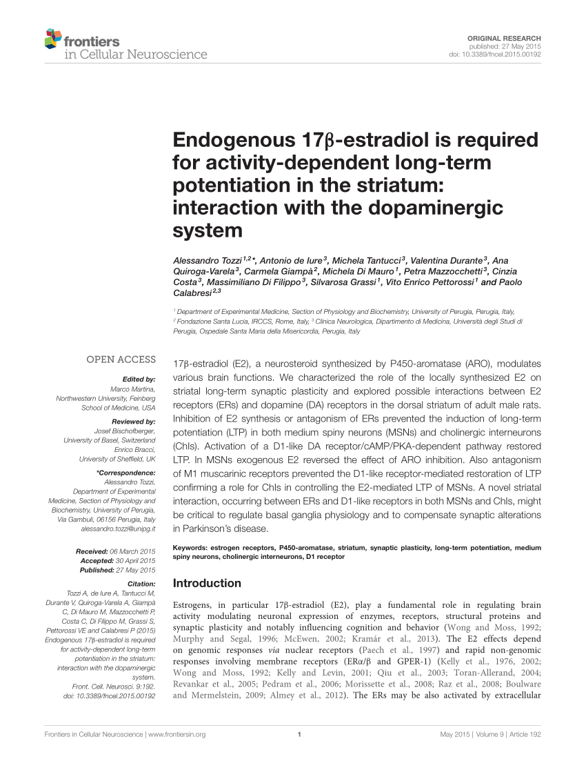 Pdf Endogenous 17 Estradiol Is Required For Activity for sizing 850 X 1113