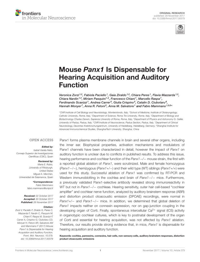 Pdf Mouse Panx1 Is Dispensable For Hearing Acquisition And in size 850 X 1113