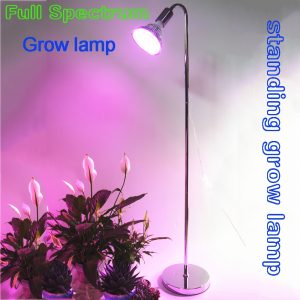 Pink Full Spectrum Growth Floor Standing Lampplant Grow in size 1000 X 1000