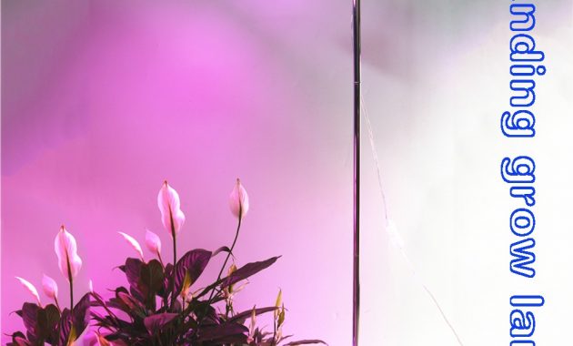 Pink Full Spectrum Growth Floor Standing Lampplant Grow with measurements 1000 X 1000