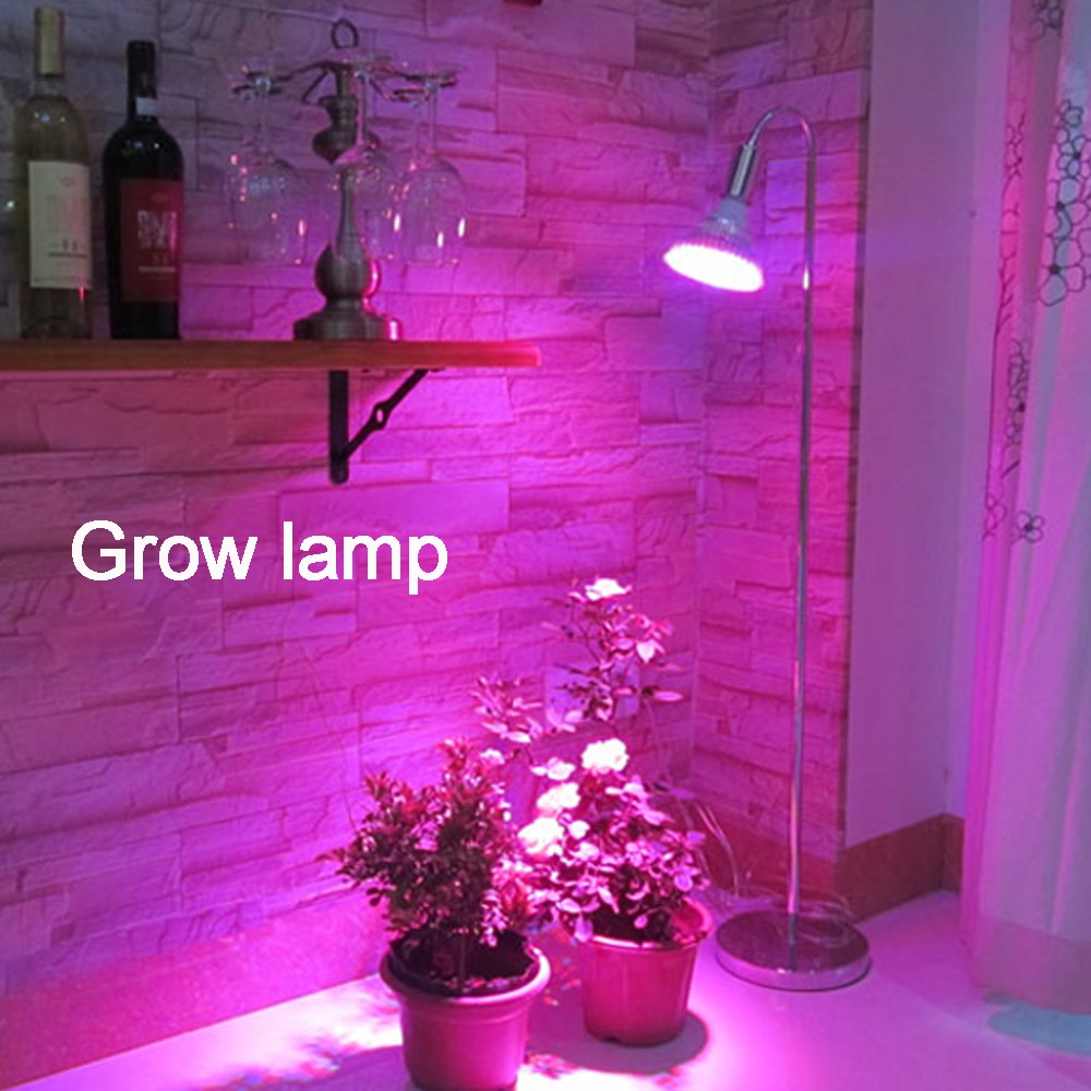 Red And Blue Growth Floor Standing Lampplant Grow Light For for dimensions 1000 X 1000