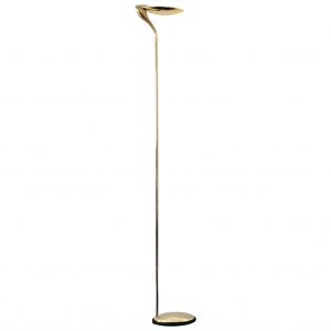 Uplighter Floor Lamp Democraciadirectaco in measurements 2617 X 2617