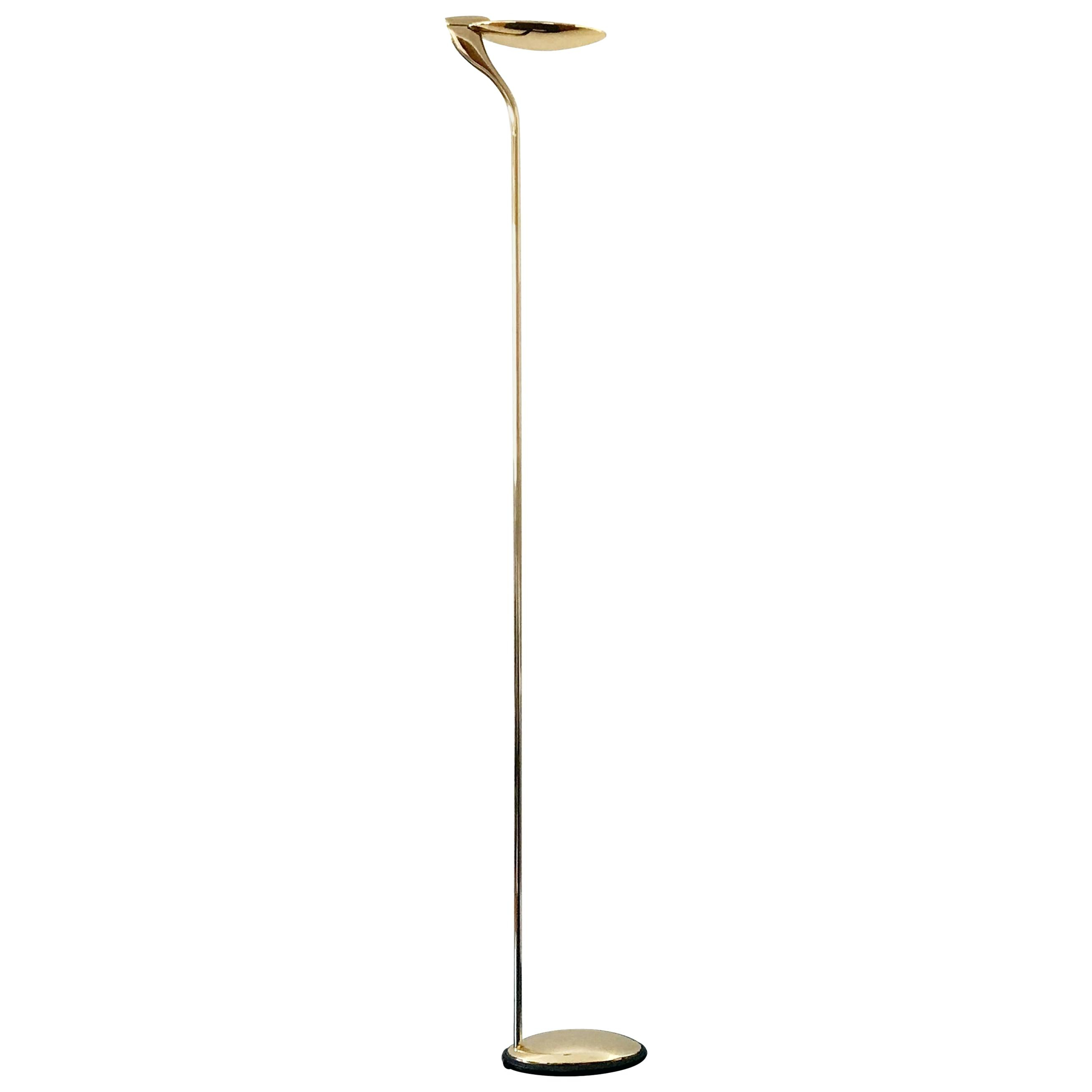 Uplighter Floor Lamp Democraciadirectaco in measurements 2617 X 2617