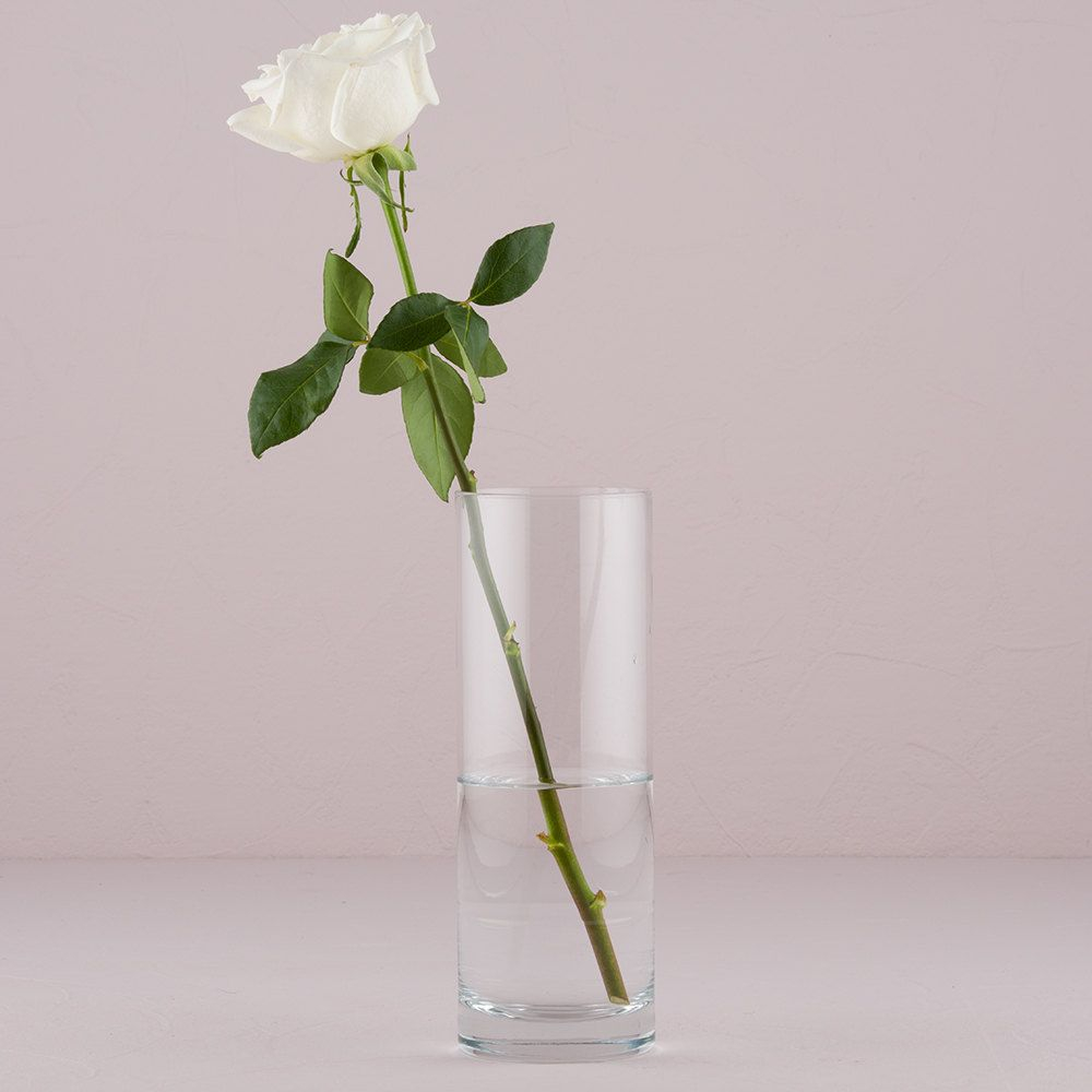 10 Glass Cylinder Vases Flower Cylinders Centerpiece Vases for sizing 1000 X 1000