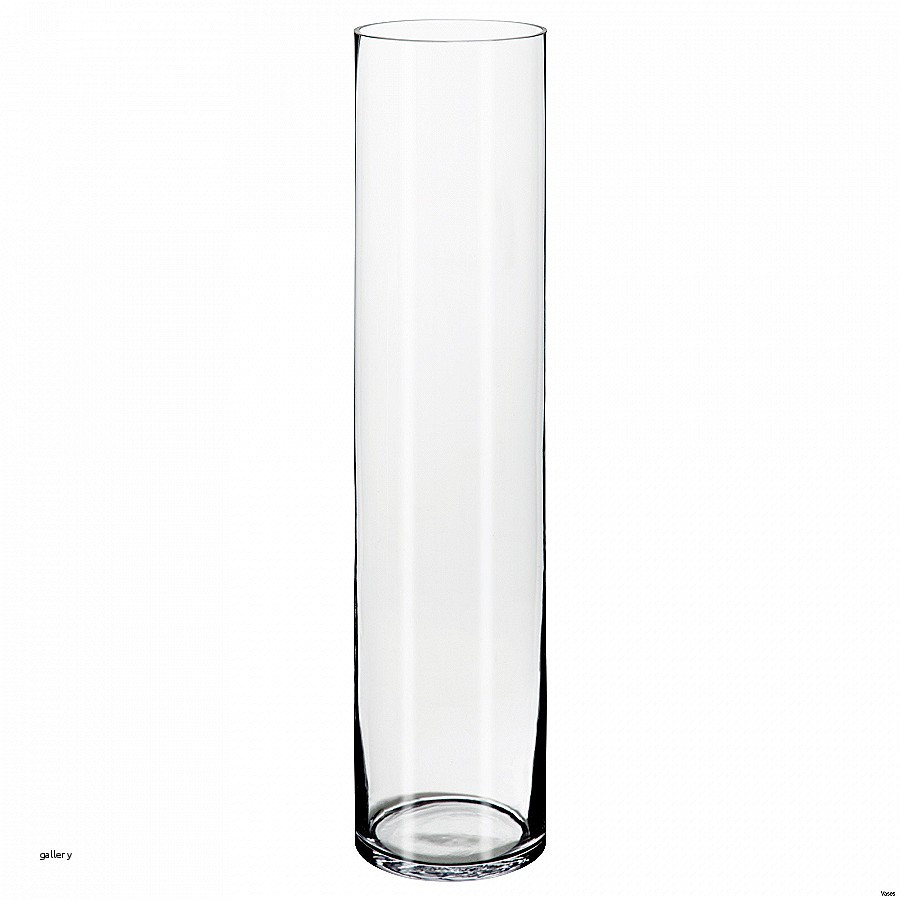 12 Fabulous Glass Vase For Lights Decorative Vase Ideas regarding measurements 900 X 900