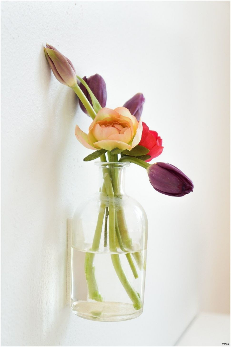 16 Perfect Vase With Suction Cup Decorative Vase Ideas throughout proportions 970 X 1455