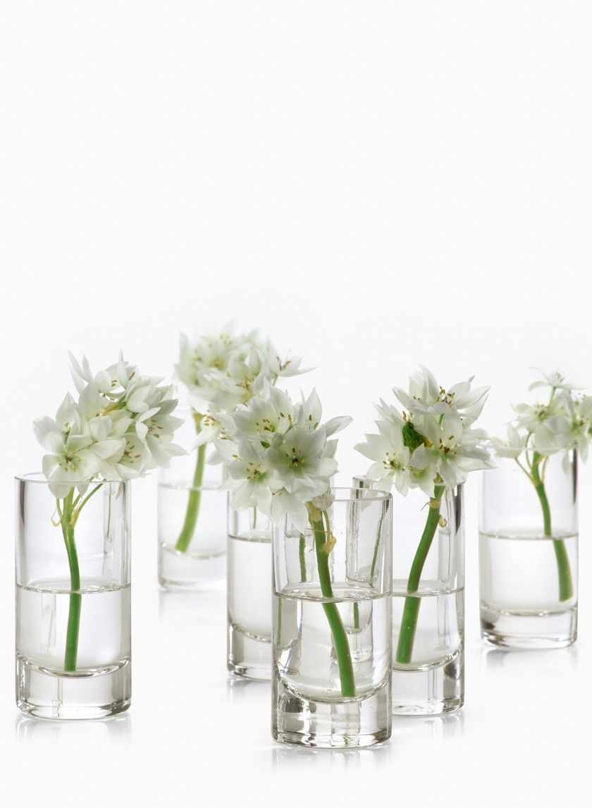 2 X 4in Clear Glass Cylinder Set Of 4 Wedding Vase pertaining to sizing 840 X 1146