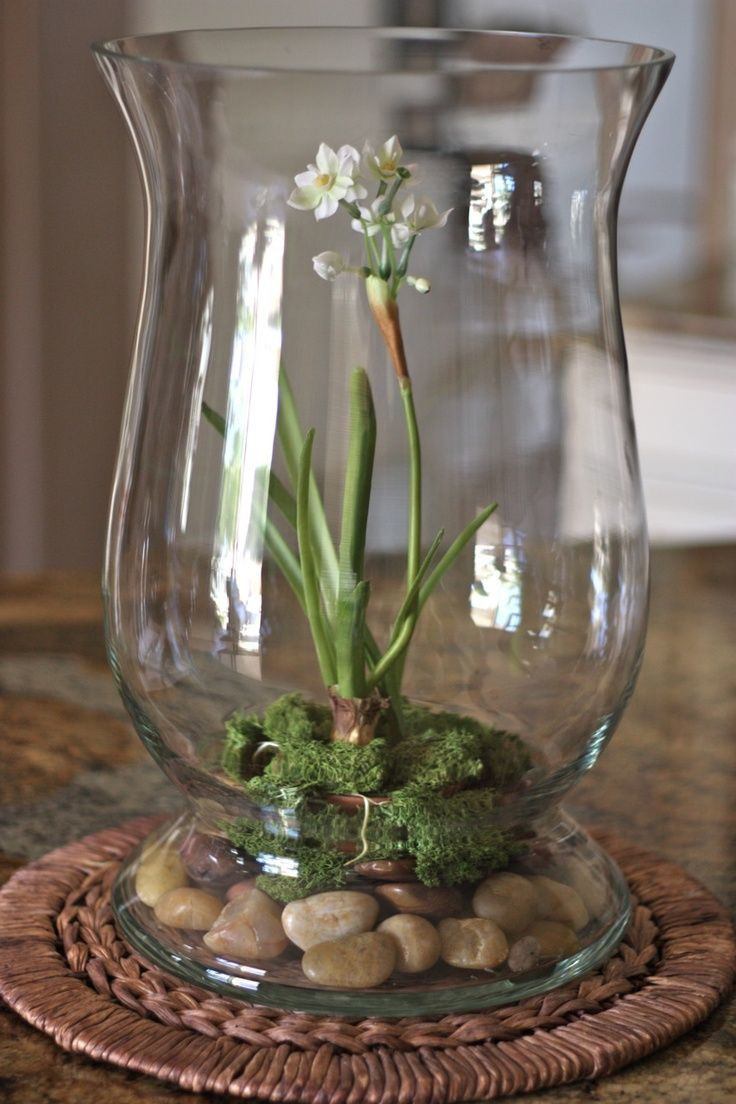 22 Fantastic Vase Filler Rocks Decorative Vase Ideas with size 736 X 1104