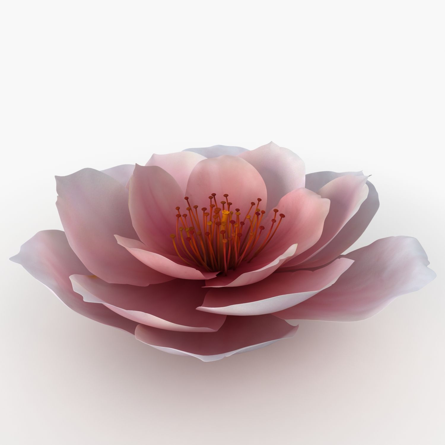 3d Model Flower Pink Petal Nature Tet New Year Asia with sizing 1500 X 1500