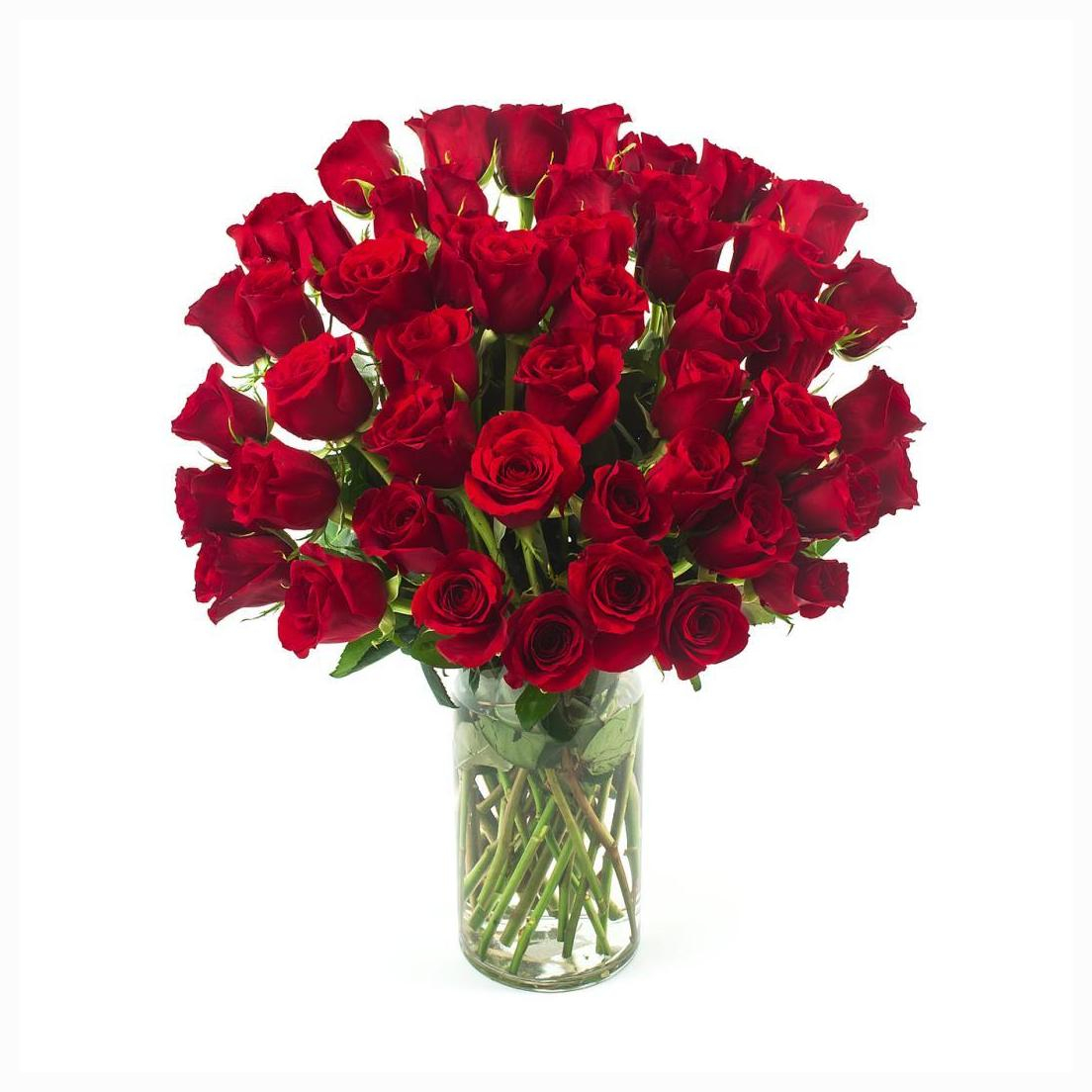 50 Red Roses In A Glass Vase in proportions 1104 X 1104