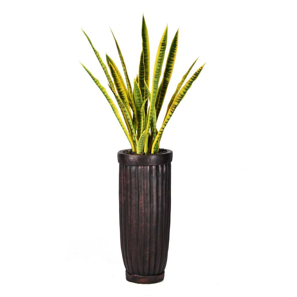 56 In Tall Snake Plant In Planter throughout dimensions 1000 X 1000