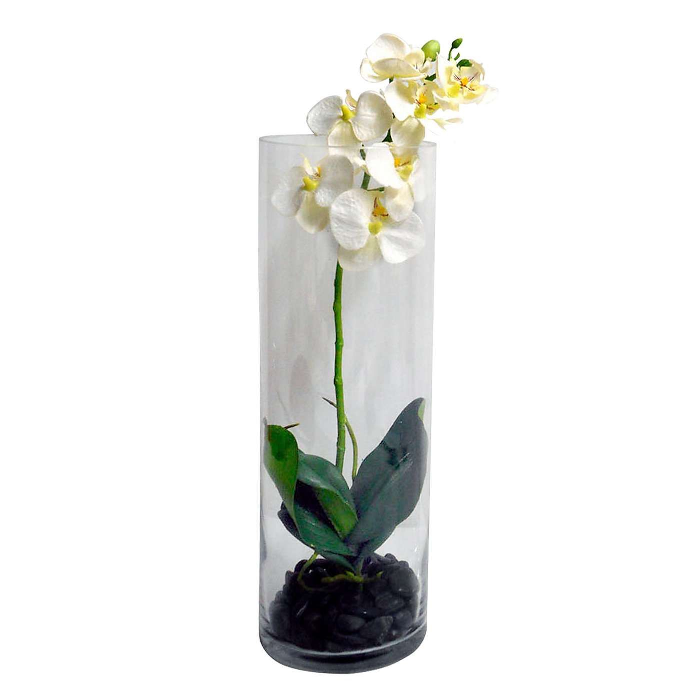 5a Fifth Avenue Orchid In Cylinder Vase Dunelm Cylinder in dimensions 1389 X 1389