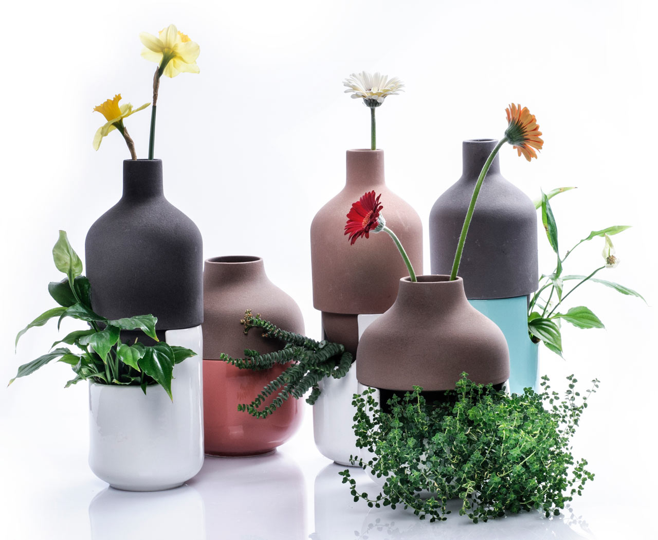 A Two Part Vase For Both Leafy Plants And Tall Flowers intended for size 1280 X 1050