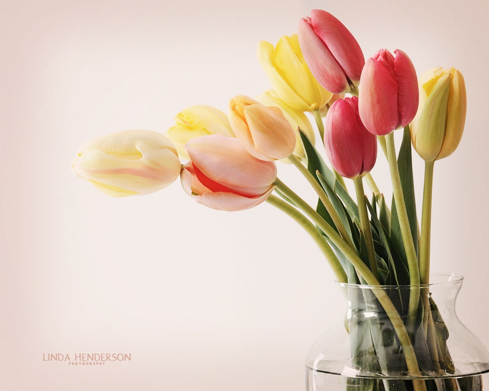 Beautiful Flower Wallpapers For You Vase Of Flowers Wallpaper pertaining to size 1000 X 800