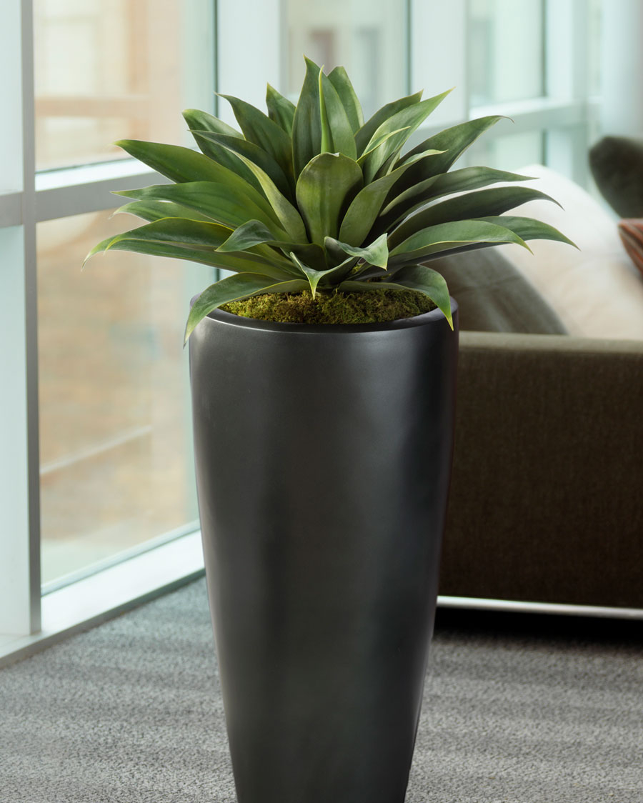 Broad Leaf Agave Artificial Succulent Plant inside dimensions 900 X 1124