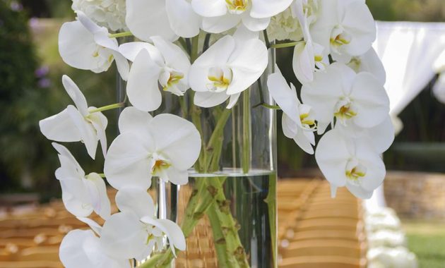 Ceremony Entrance Arrangement Orchids And Hydrangea Tall inside measurements 900 X 1200