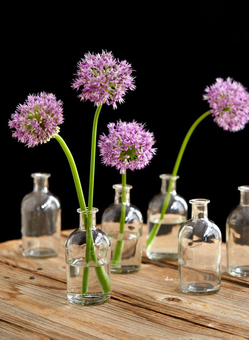 Clear Medicine Bottle Bud Vase Set Of 6 Bud Vases for size 840 X 1146