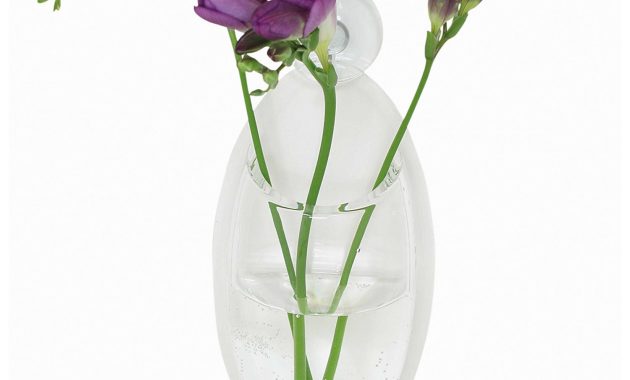 Clear Oval Window Bud Vase With Suction Cup Stick On Acrylic Container For Flowers And Greenery Walmart within dimensions 1500 X 2000