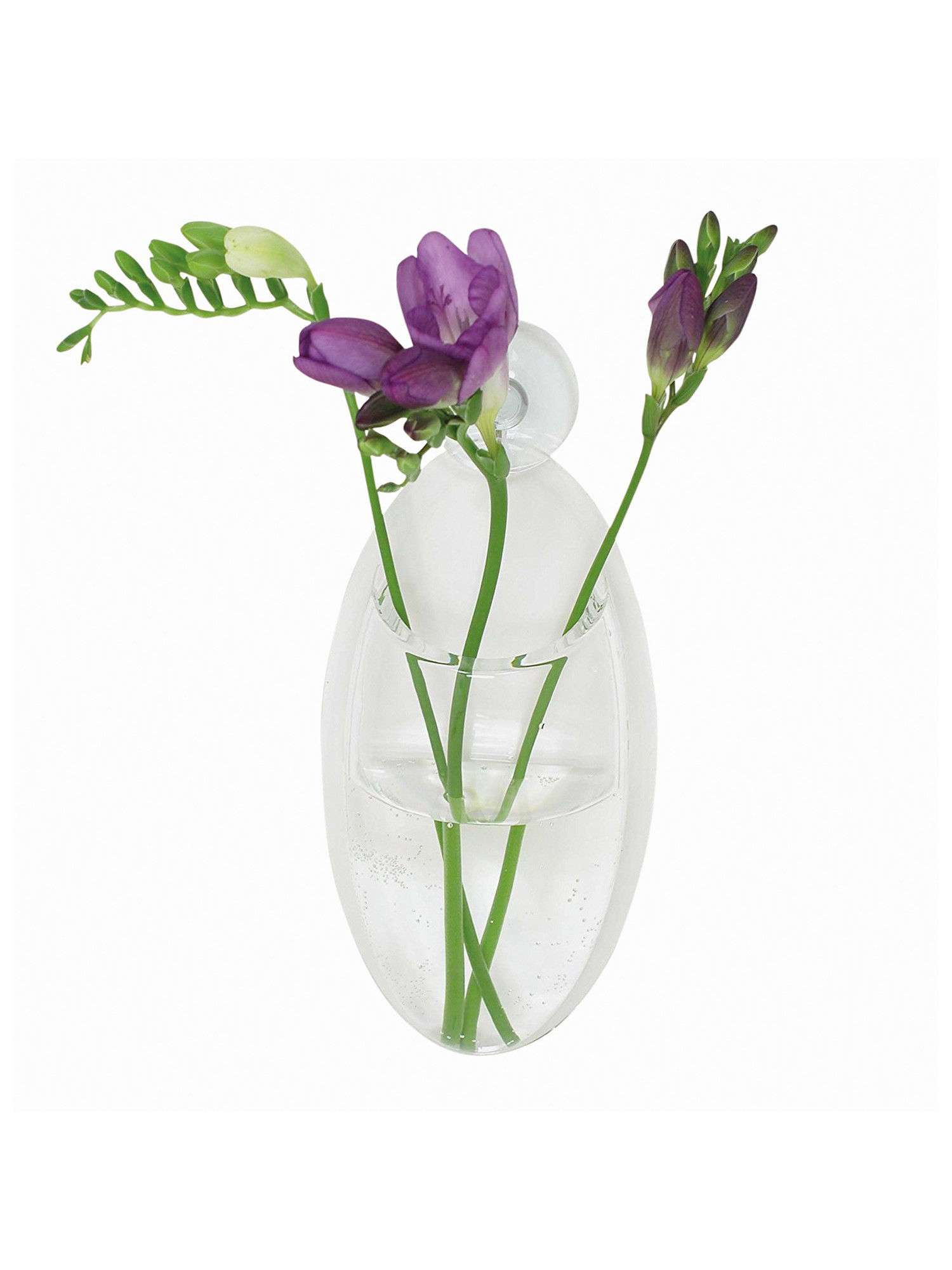 Clear Oval Window Bud Vase With Suction Cup Stick On Acrylic Container For Flowers And Greenery Walmart within dimensions 1500 X 2000