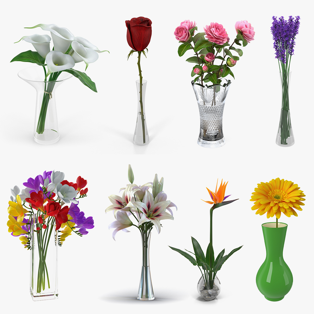 Collection Fleurs Dans Vases in size 1200 X 1200