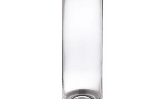 Colonnade Clear Cylinder Tall Glass Vase H43cm pertaining to size 1200 X 925