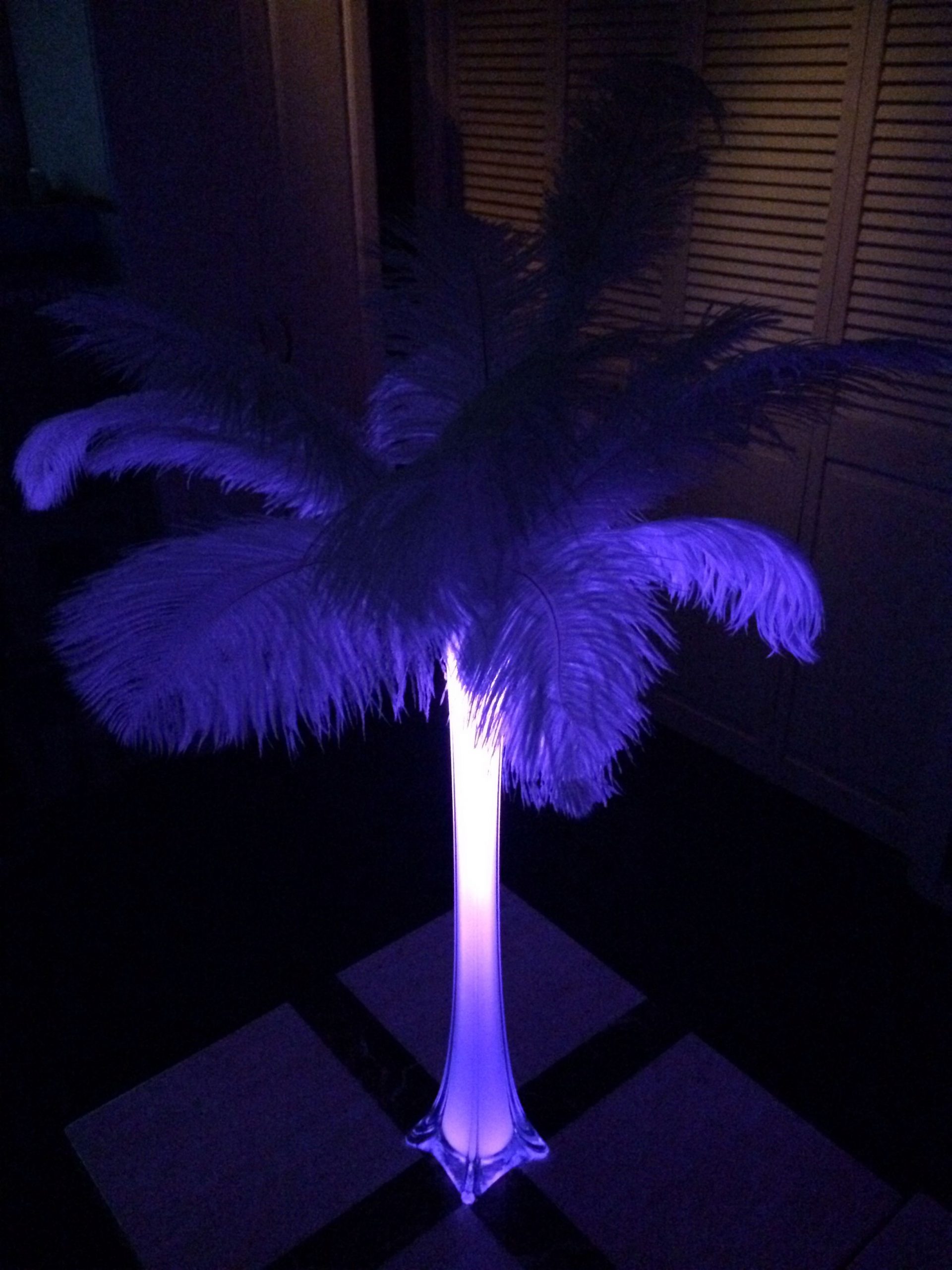 Diy Centerpiece Ostrich Feathers Eiffel Tower Vase With for proportions 2448 X 3264