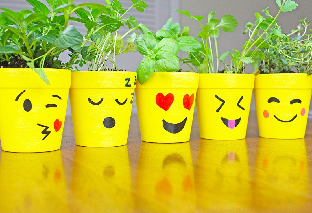 Diy Emoji Ceramic Flower Pots Pots De Fleurs En Cramique with regard to size 1079 X 737