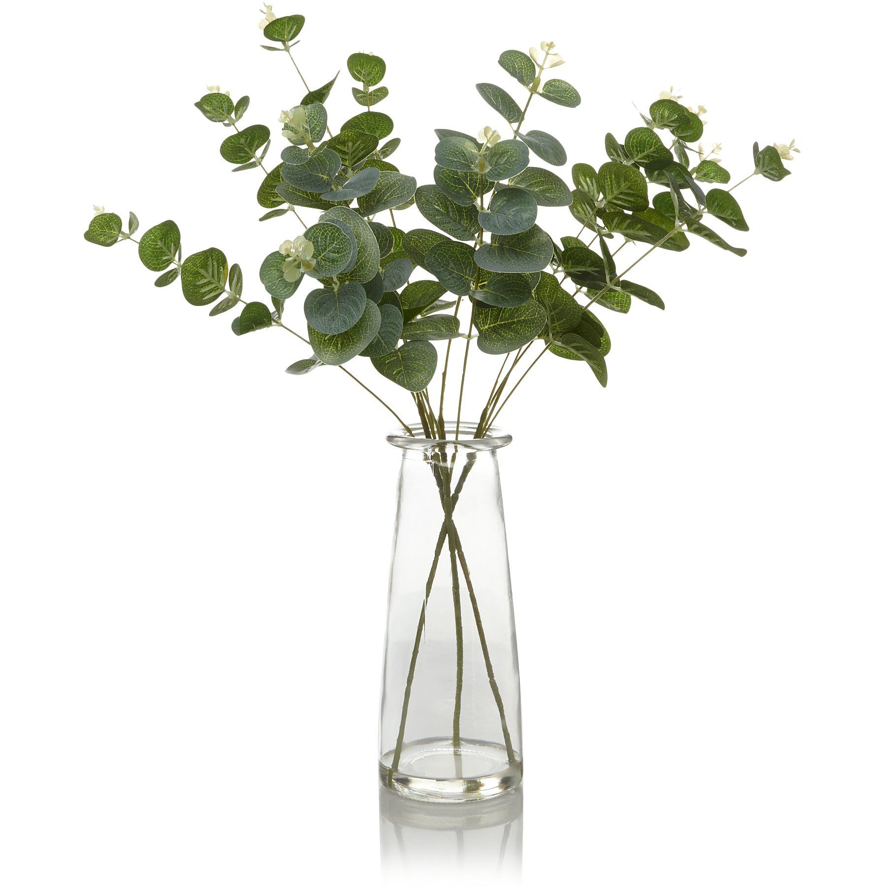 Eucalyptus Arrangement In Bottle Home Garden George throughout sizing 1800 X 1800