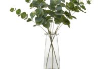 Eucalyptus Arrangement In Bottle Home Garden George with size 1800 X 1800