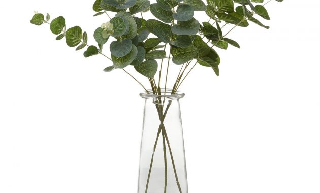 Eucalyptus Arrangement In Bottle Home Garden George with size 1800 X 1800