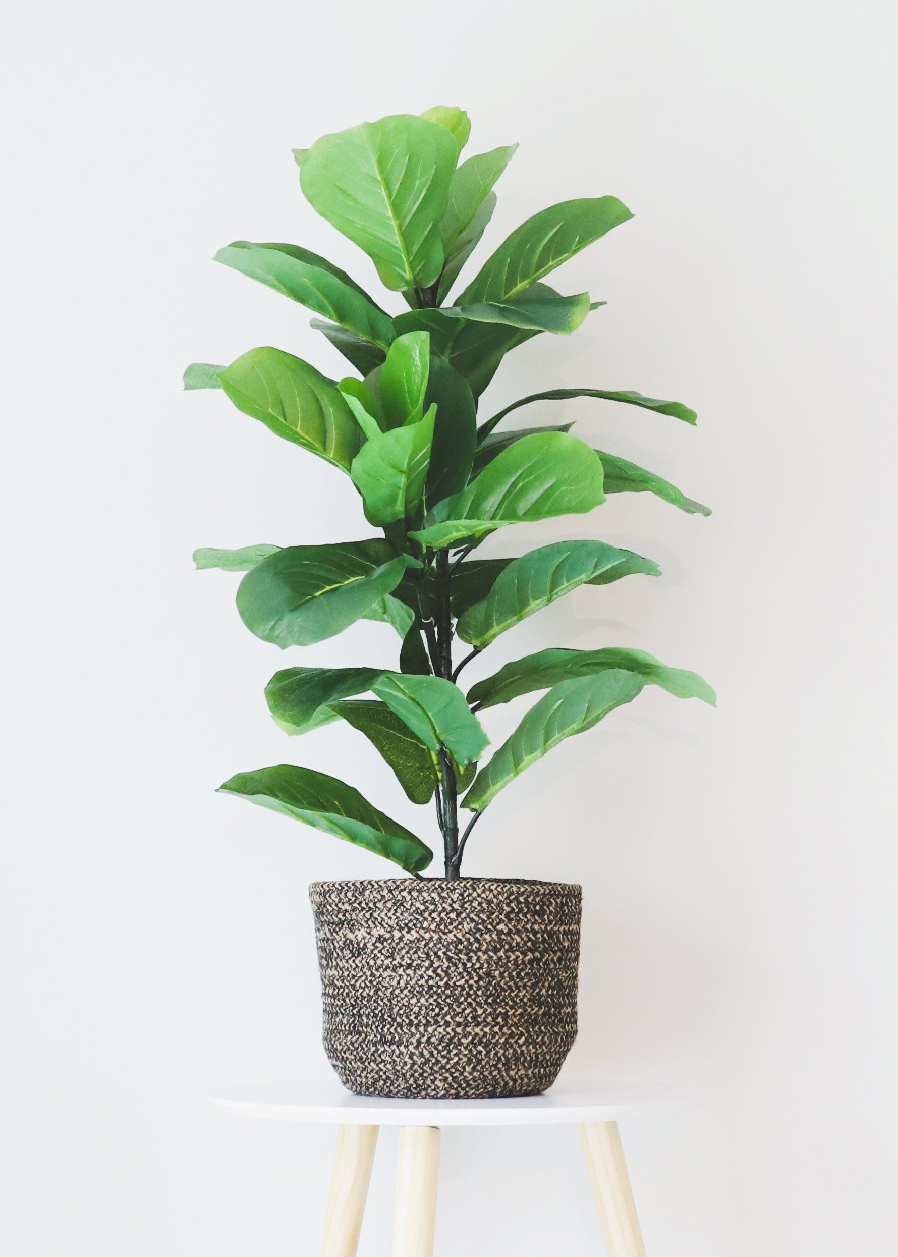 Fake Fiddle Leaf Fig Tree Floor Plant In Pot 315 Tall In intended for sizing 1780 X 2491