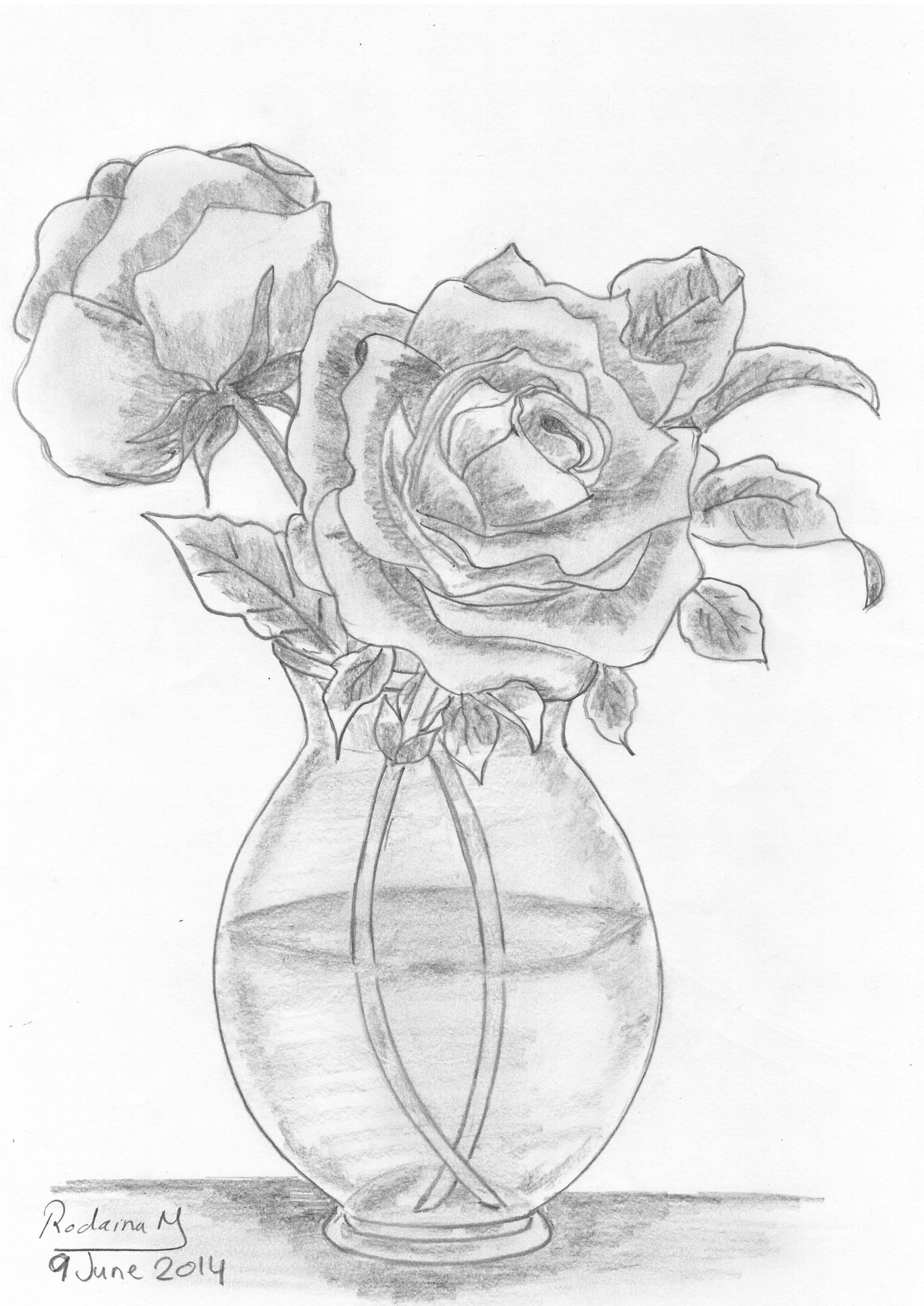 Flower In A Vase Drawing Sketch intended for measurements 2425 X 3424