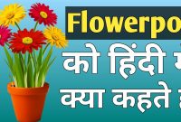 Flower Pot Ko Hindi Me Kya Kehte Hain Meaning Of Flower regarding size 1280 X 720